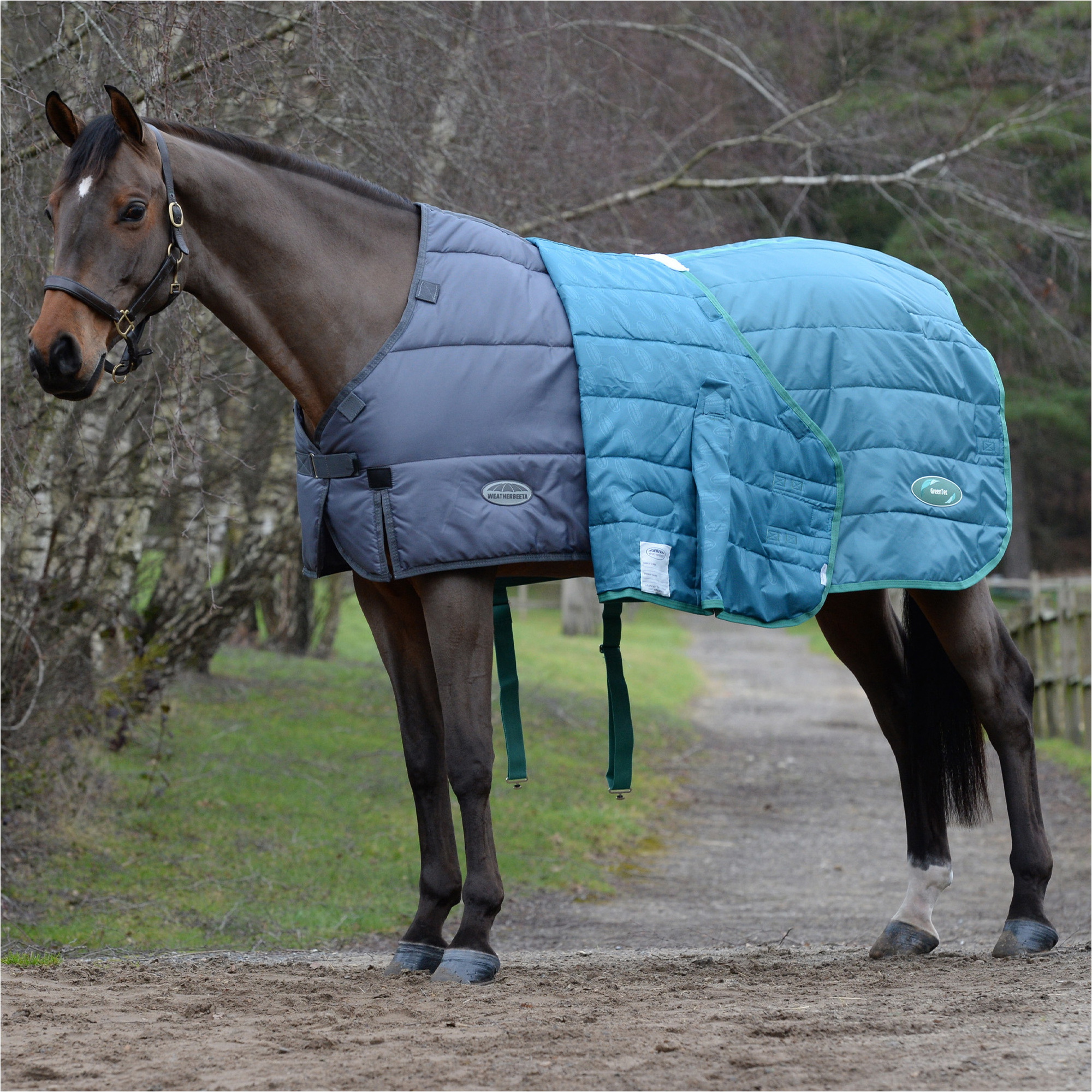 Weatherbeeta Grün - Tec Standard Hals Medium / Lite Stabil Liner 1021797 - Grey